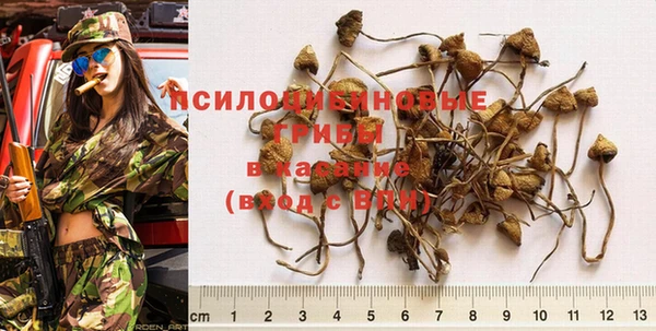 мдпв Тында