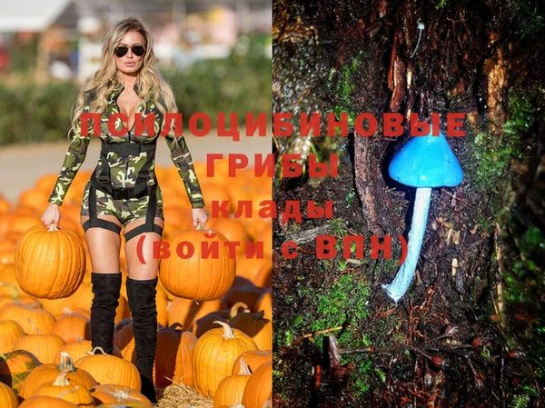 мдпв Тында