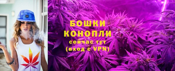 дмт Туринск