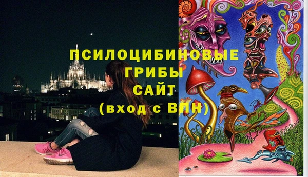дмт Туринск