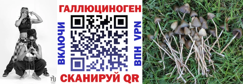 закладка  Агидель  Галлюциногенные грибы Magic Shrooms 